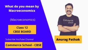 what do you mean by macroeconomics in class 12