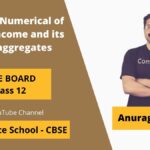 important numerical of natinoal income and its related aggregates class 12 cbse board