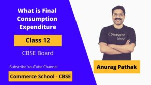 what is final consumption expenditure in macroeconomics class 12 CBSE Board