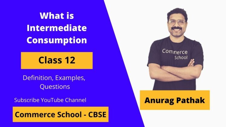 what-is-intermediate-consumption-class-12-definition-examples-questions