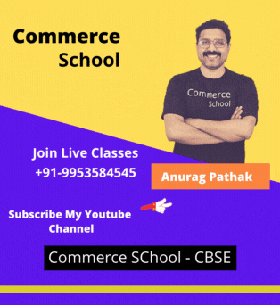 best youtube channel for commerce students 11 and 12 class